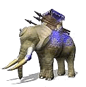 War Elephant